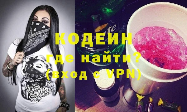 прущие грибы Новозыбков