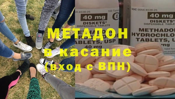 прущие грибы Новозыбков
