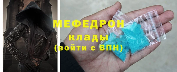 прущие грибы Новозыбков