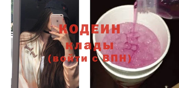 прущие грибы Новозыбков