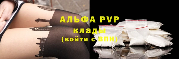прущие грибы Новозыбков