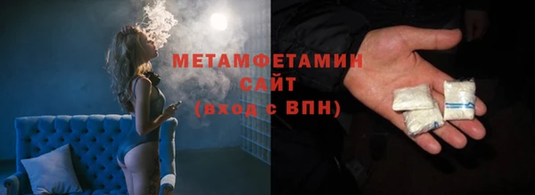 прущие грибы Новозыбков