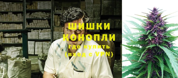 крисы Гатчина