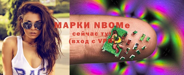 прущие грибы Новозыбков