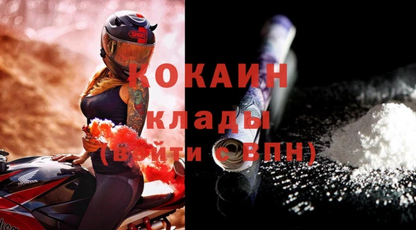 крисы Гатчина