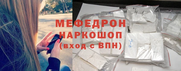 прущие грибы Новозыбков