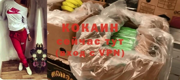 прущие грибы Новозыбков