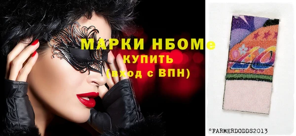 прущие грибы Новозыбков