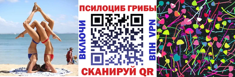 наркошоп  Старая Купавна  Галлюциногенные грибы MAGIC MUSHROOMS 