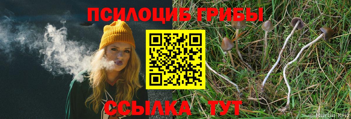 Старая Купавна  Псилоцибиновые грибы Psilocybe  Вход с VPN 