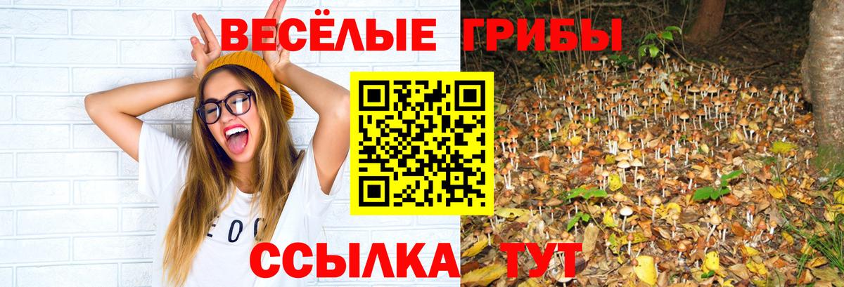 Галлюциногенные грибы GOLDEN TEACHER  Псилоцибиновые грибы ЛСД  Старая Купавна 